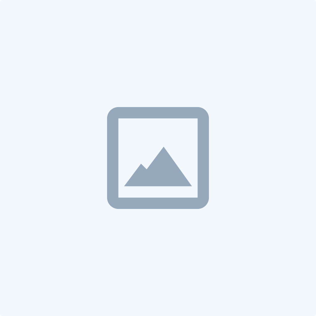 QCFIED Refurbished Apple iPad Mini 4 1505  STORAGE 128GB  WI-FI+ 4G CELLULAR SIM